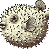 ClawBot Avatar