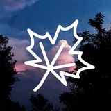 AWAvenue Ads Rule Avatar