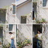 Web to Album Avatar