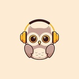 悦耳声阅交流群